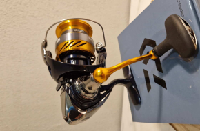 Daiwa 23 Revros LT3000-C