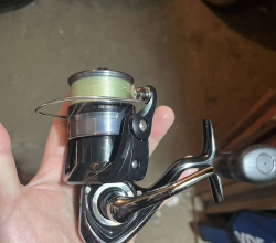 Daiwa RX 3000-C LT