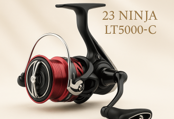 DAIWA 23 Ninja LT5000-C