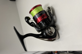 Daiwa ninja LT2000