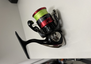 Daiwa ninja LT2000